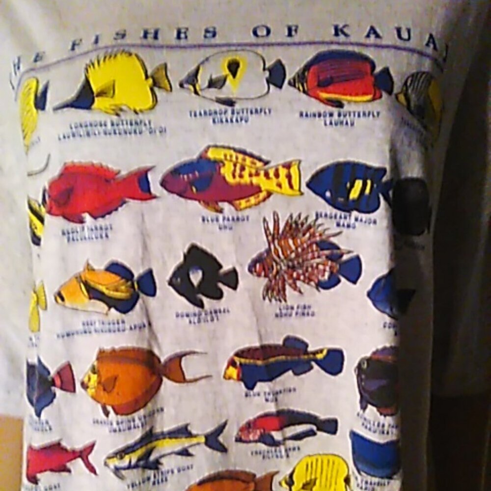 T-Shirt The Fishes Of Kauai Hawaii Men's XL Gray Jerzees Heavy Weight Cotton - Picture 2 of 5